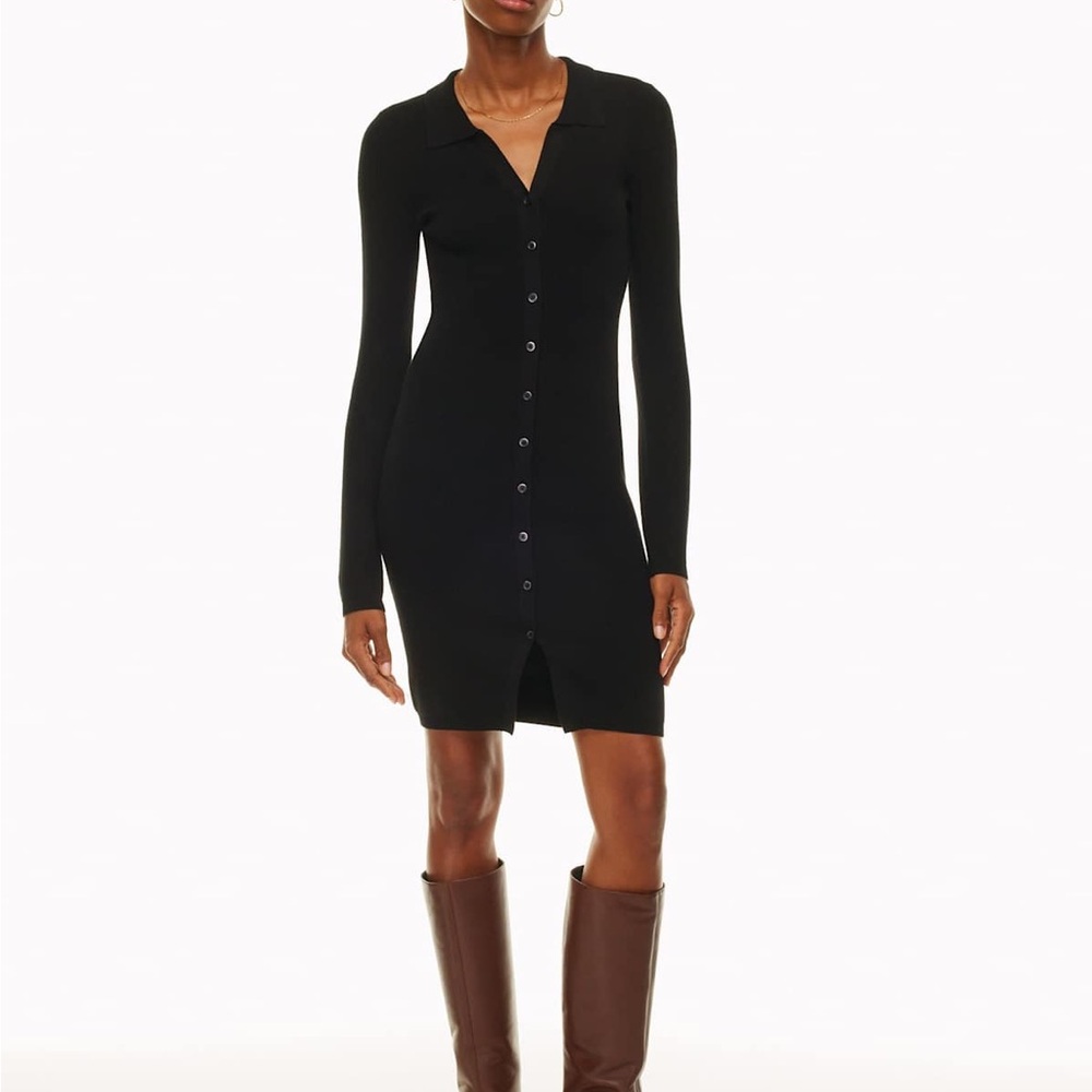 NWOT - Aritzia Wilfred Cove Dress